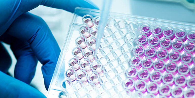 Molecular Biology Testing Technologies